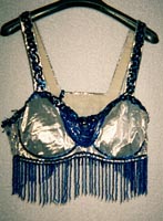 blue and silver bra